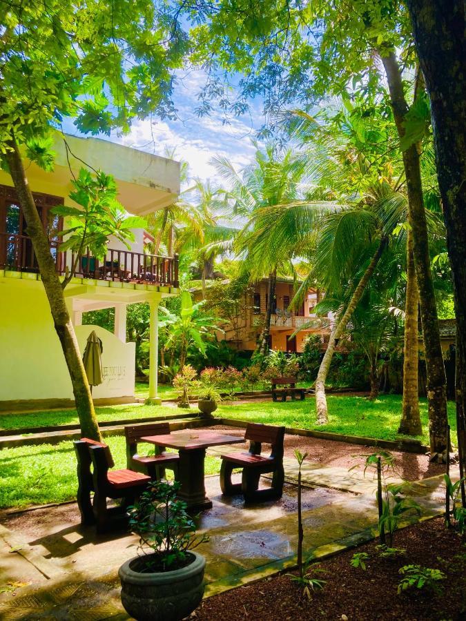 Manel Villa เบนโตตา ภายนอก รูปภาพ