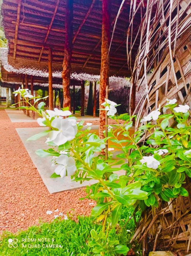 Manel Villa เบนโตตา ภายนอก รูปภาพ