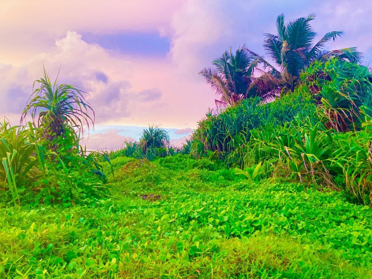 Manel Villa เบนโตตา ภายนอก รูปภาพ