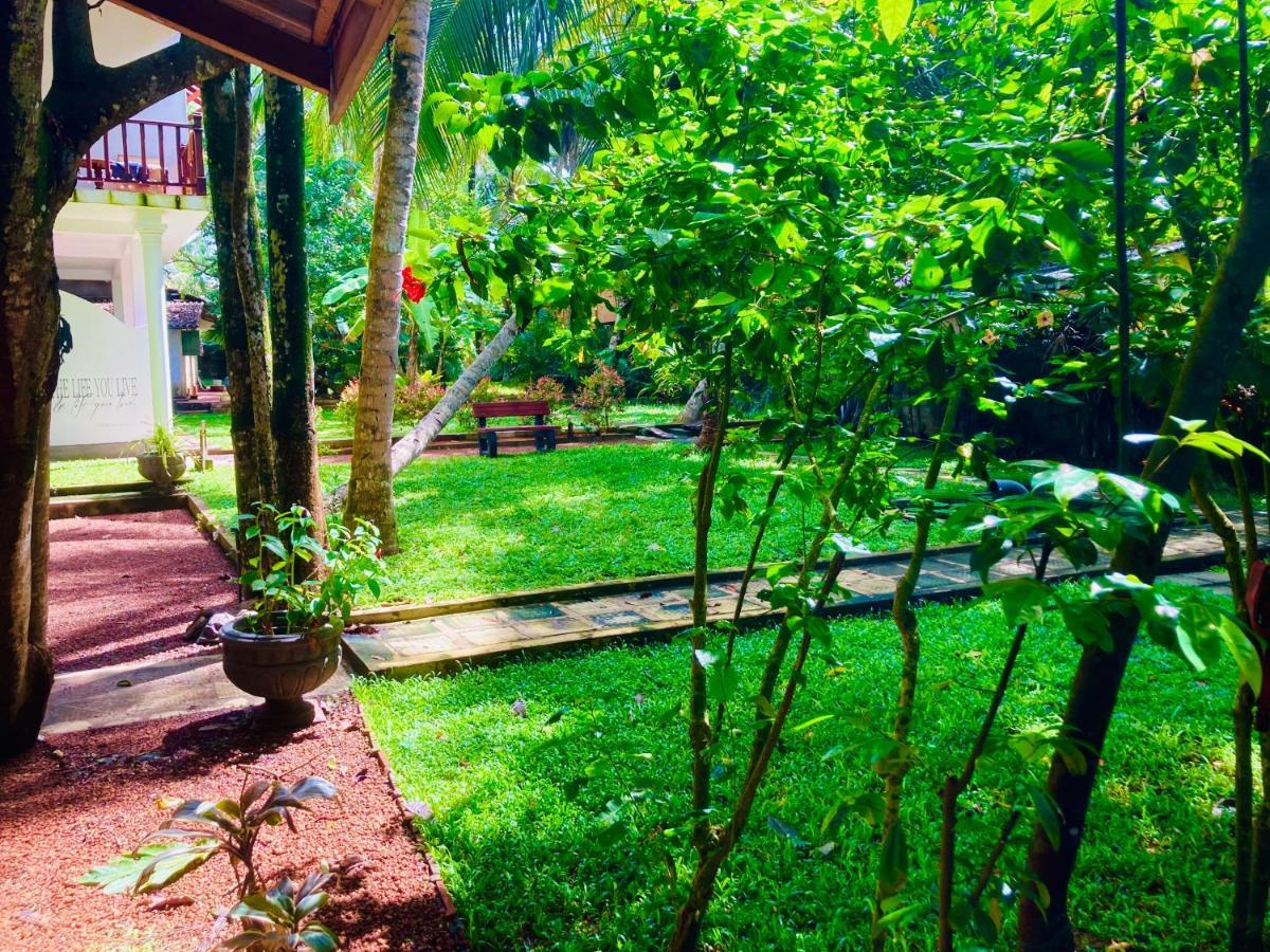 Manel Villa เบนโตตา ภายนอก รูปภาพ