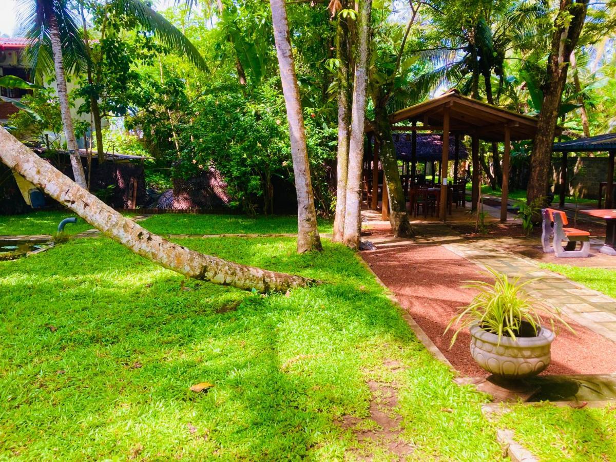 Manel Villa เบนโตตา ภายนอก รูปภาพ